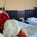 酒店 莫尼克酒店 安卡拉