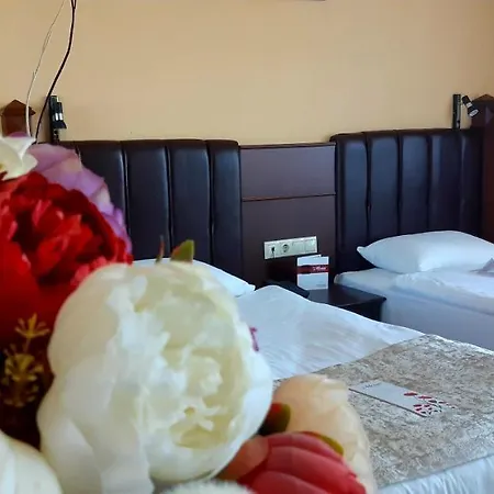 Hotell Monec Ankara