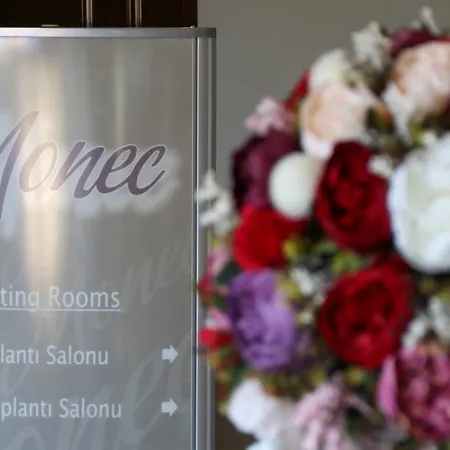 Monec Отель